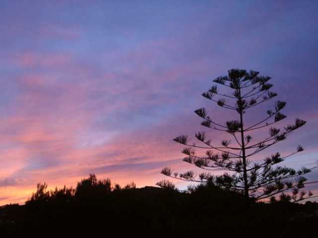 03160025_big.jpg