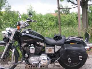 PICT7882.JPG