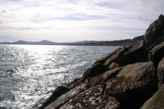 pict9297.jpg