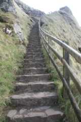 dsc04253.jpg