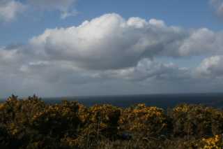 dsc04279.jpg