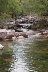 DSC00520.JPG