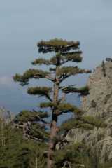 DSC00712.JPG