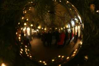 DSC01282.JPG