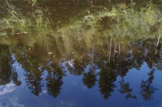 DSC08524.JPG