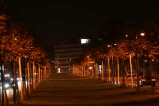 DSC09795.JPG