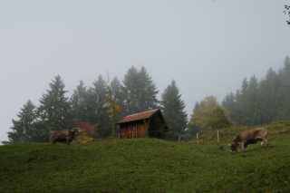 DSC03425.JPG