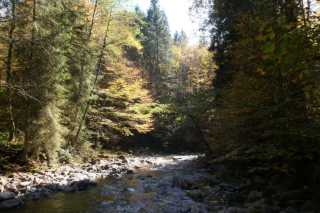 DSC03444.JPG