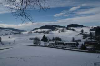 DSC01977.JPG
