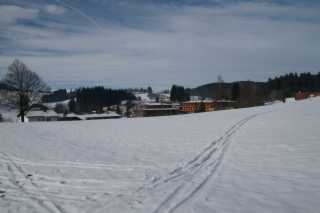 DSC01993.JPG