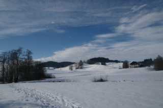DSC02000.JPG