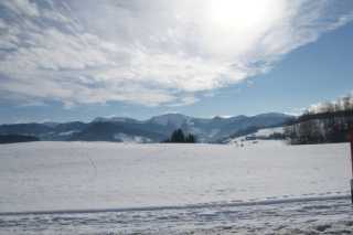 DSC02019.JPG