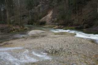 DSC02140.JPG