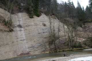 DSC02170.JPG