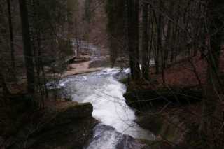 DSC02175.JPG