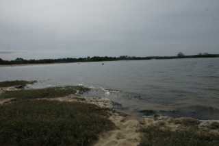 DSC08638.JPG