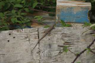DSC08687.JPG