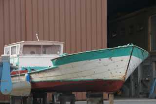 DSC08705.JPG