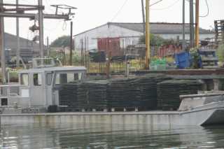 DSC08748.JPG