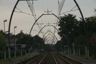 DSC08765.JPG