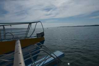 DSC08904.JPG