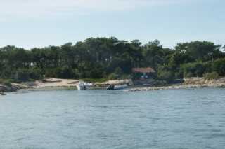 DSC09052.JPG