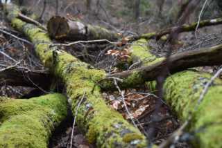 DSC_6329.JPG