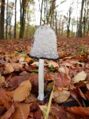 DSCN4194.JPG