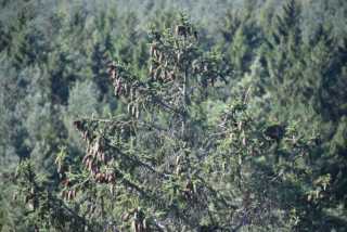 DSC_1511.JPG