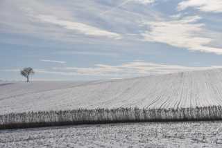 DSC_2995.JPG