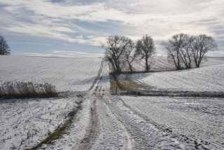 DSC_3000.JPG