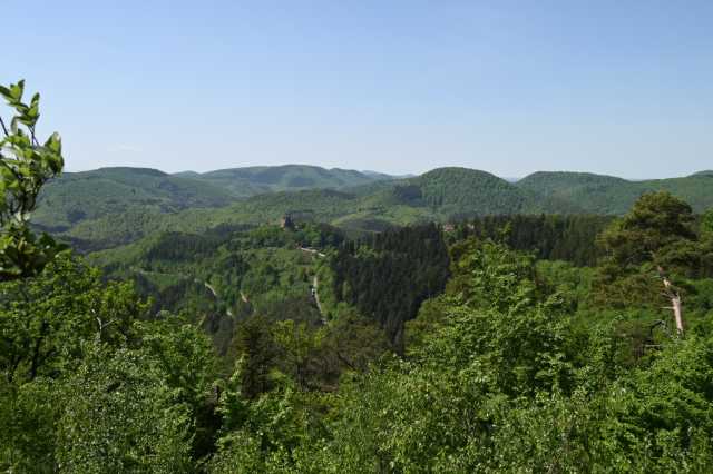 DSC_4004.JPG