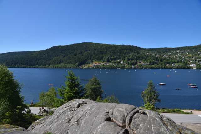 DSC_5351.JPG