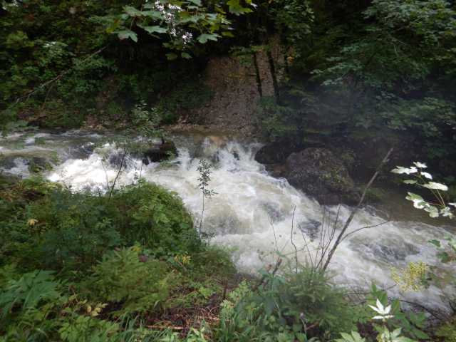 DSCN0037.JPG