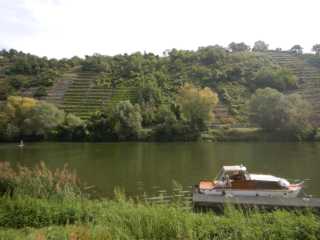 DSCN0596.JPG