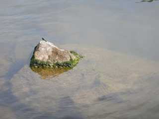 DSCN0597.JPG