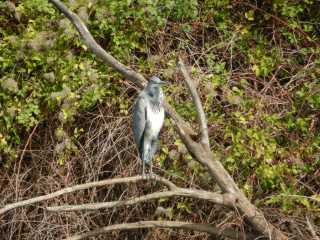 DSCN0605.JPG