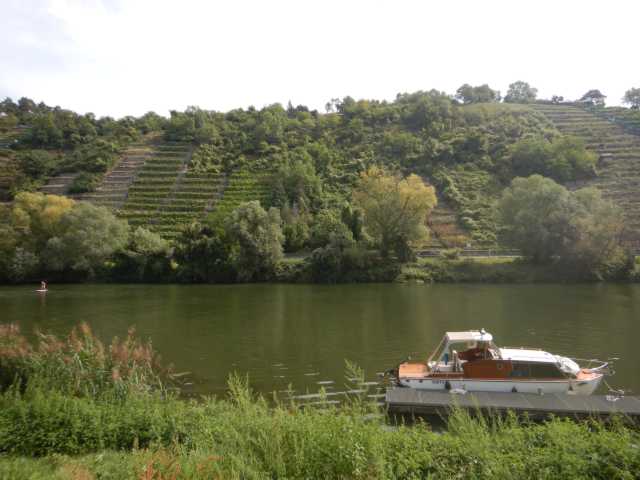 DSCN0596.JPG
