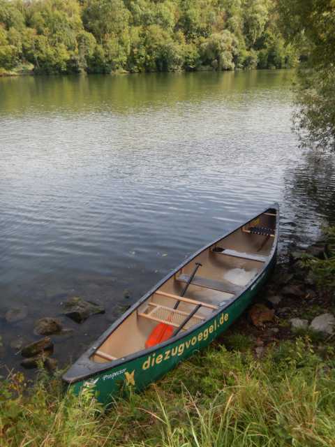 DSCN0622.JPG