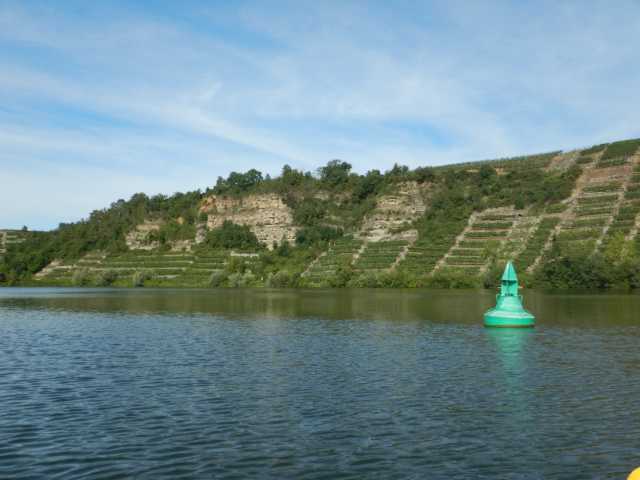 DSCN0631.JPG