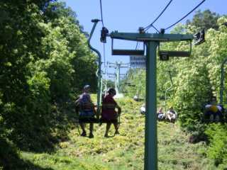 IMGP0463.JPG