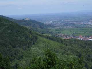 IMGP0471.JPG