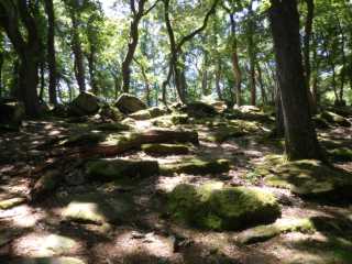 IMGP0475.JPG