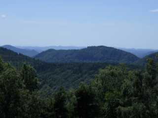 IMGP0489.JPG