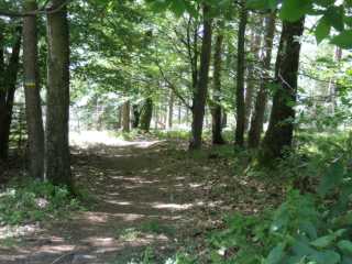 IMGP0497.JPG