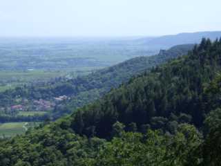 IMGP0503.JPG