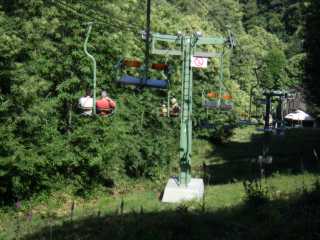 IMGP0506.JPG