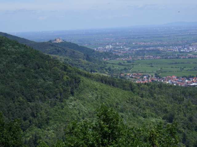 IMGP0471.JPG