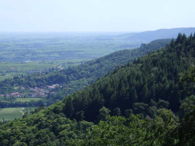 IMGP0503.JPG