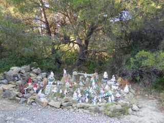 IMGP0554.JPG